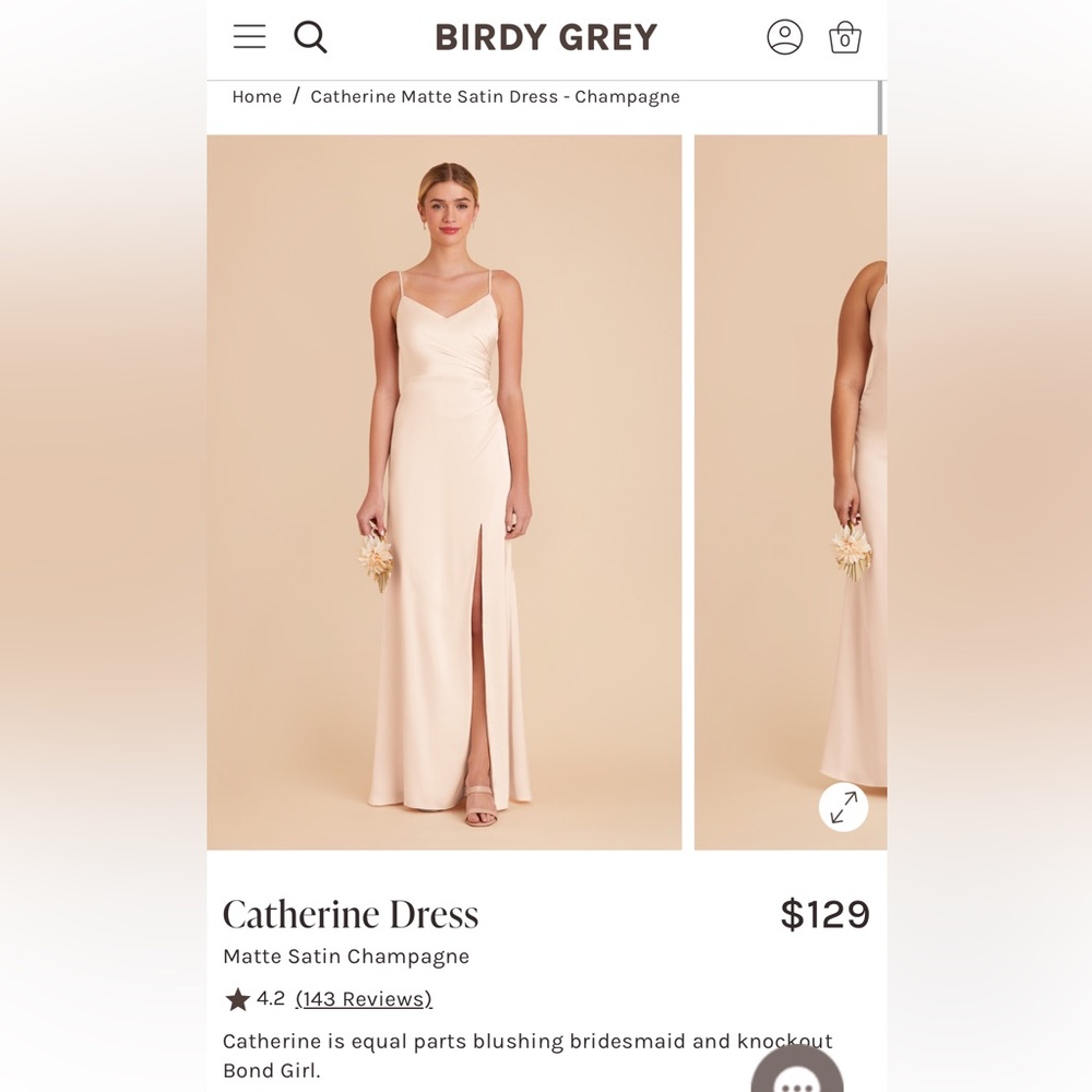 Birdy Grey Catherine Dress in Champagne